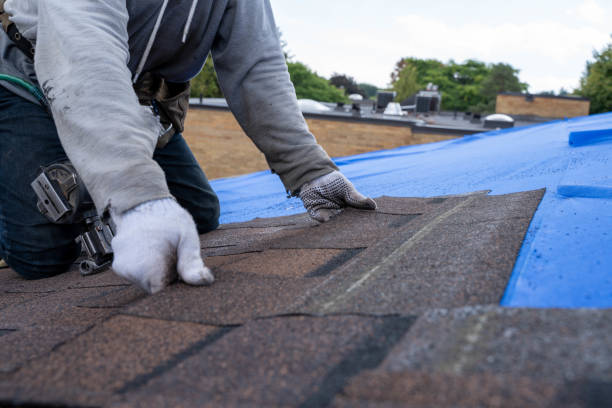 Best Roof Waterproofing Services  in Blue Mound, TX